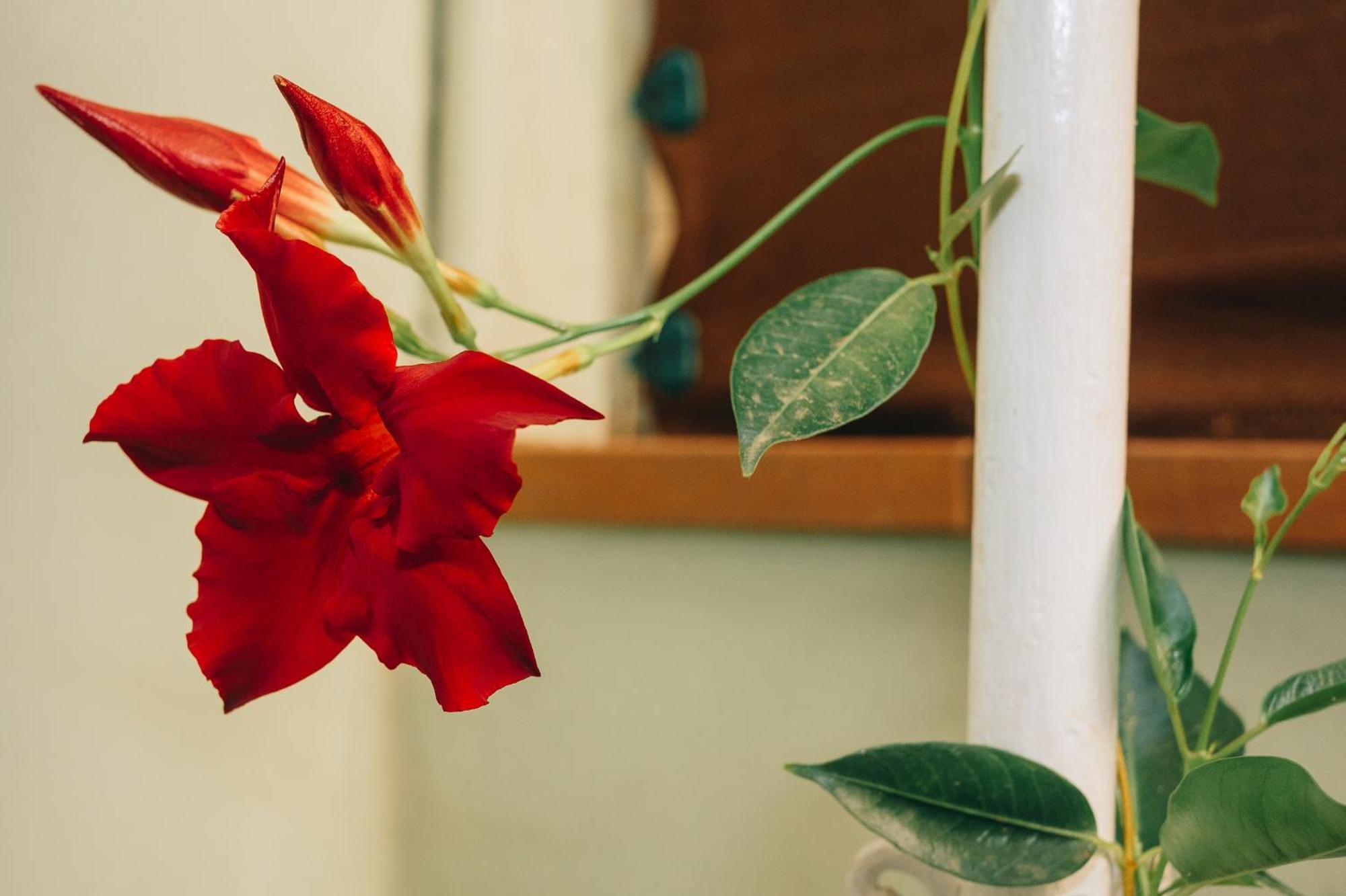 Casona Mafalda Prato  Ngoại thất bức ảnh
